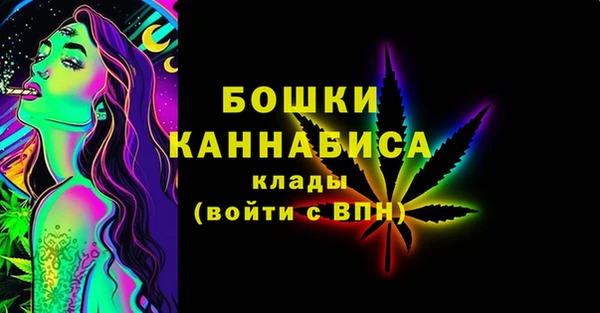 ешки Бородино