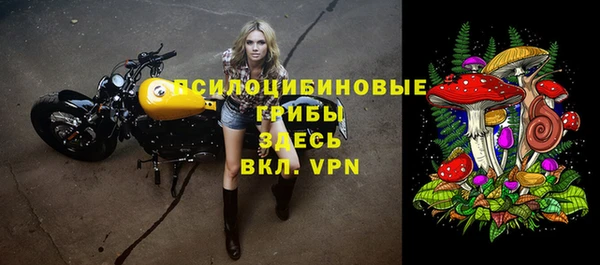 амф Бронницы