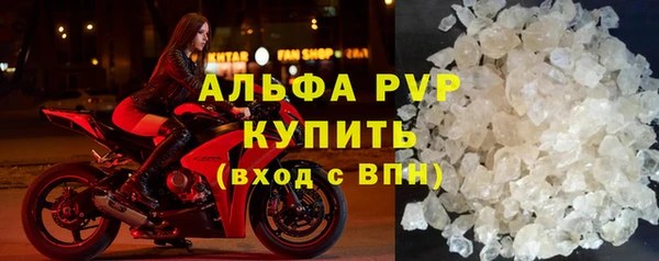 ешки Бородино