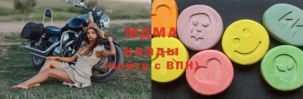 ешки Бородино