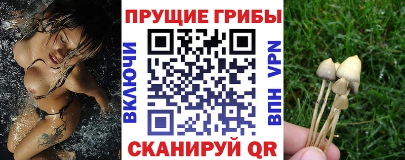 Галлюциногенные грибы мухоморы  сколько стоит  Новый Уренгой 