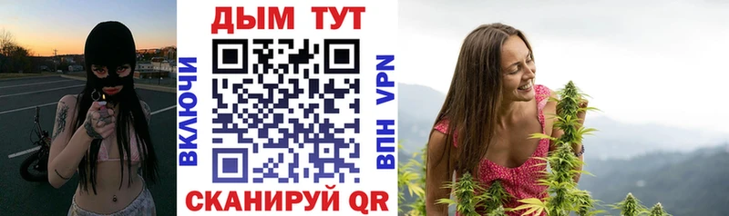 купить наркоту  Новый Уренгой  Шишки марихуана сатива 